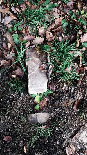 91黑料正能量不迷路截图4